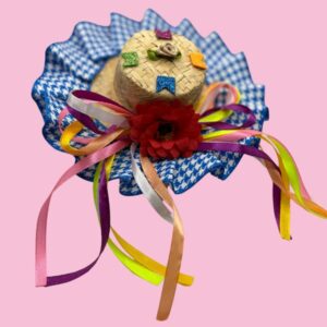 Chapéu Bico de Pato Junino Decorado – Diversas Estampas