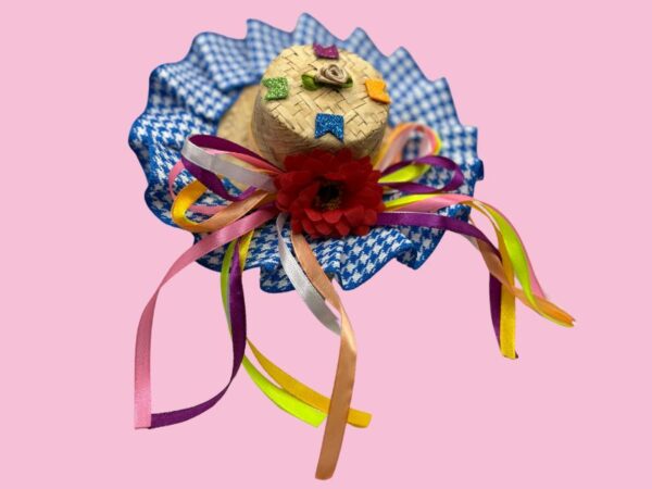 Chapéu Bico de Pato Junino Decorado – Diversas Estampas