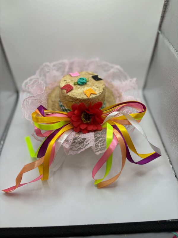 Chapéu Bico de Pato Junino Decorado – Diversas Estampas - Image 4