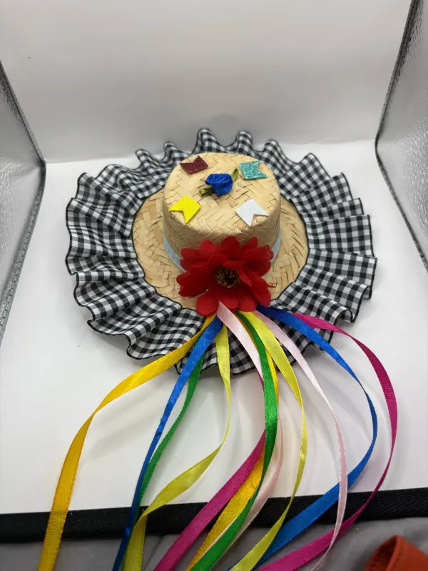 Chapéu Bico de Pato Junino Decorado – Diversas Estampas - Imagem 19